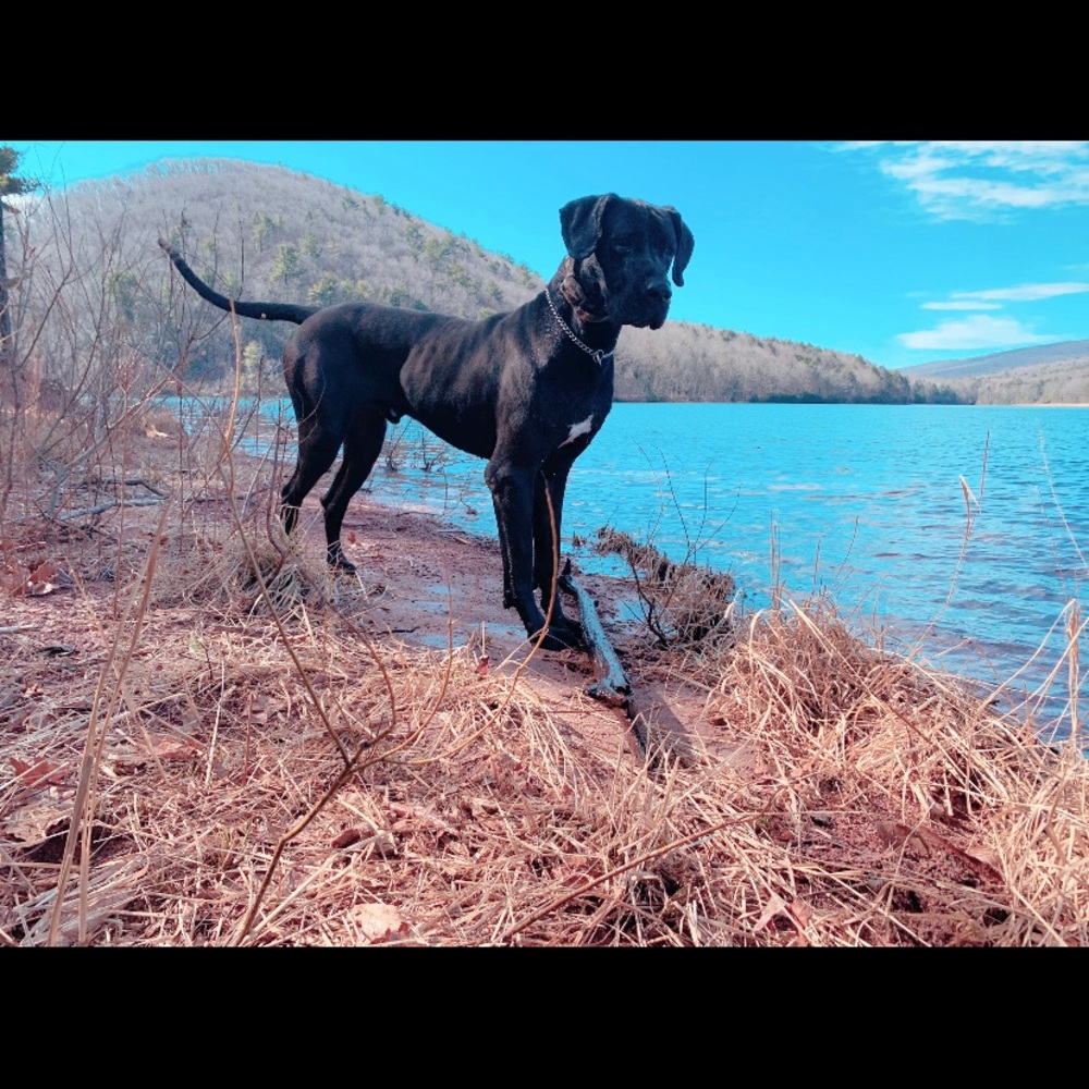 Meet your Posher, Lanie